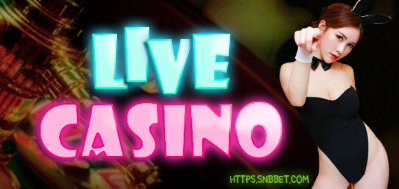 live casino